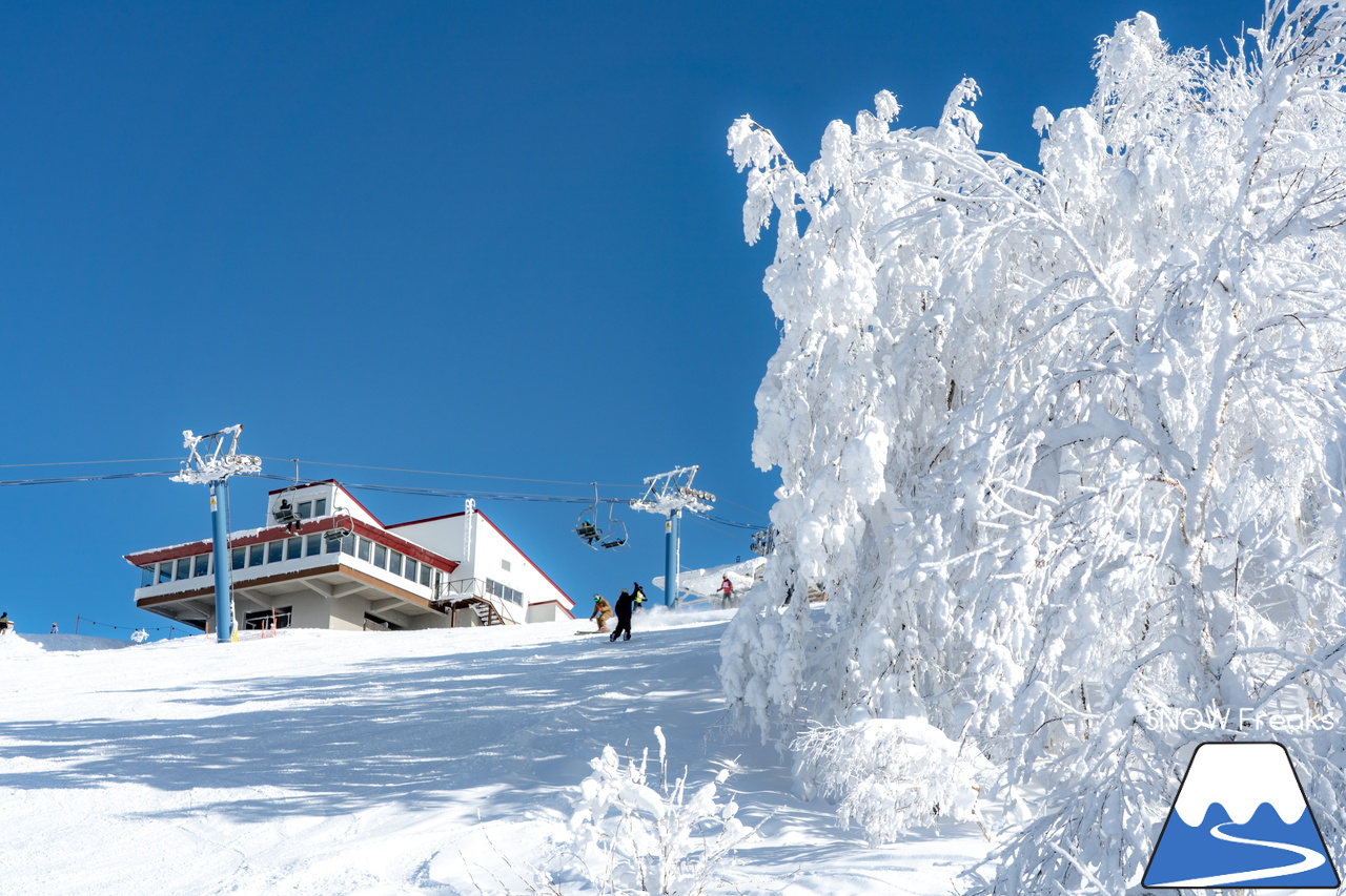 カムイスキーリンクス｜この上ないほど澄んだ青空と極上のパウダースノー。やっぱり『カムイ』は外れない！